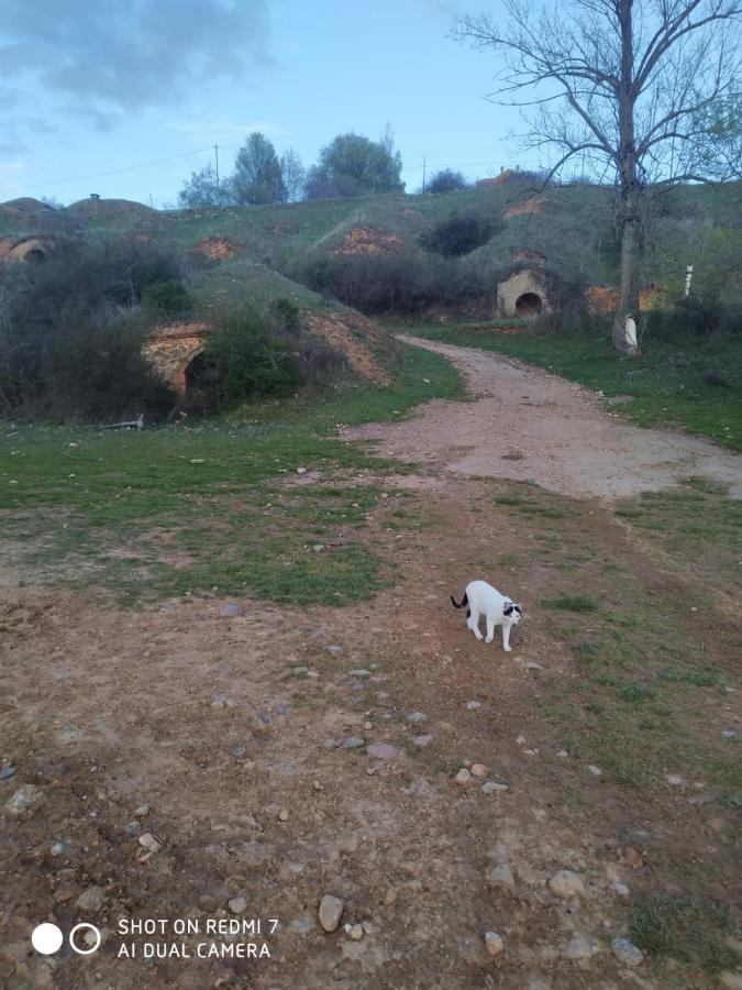 Miradoralaribera Chalet Rural Βίλα Alcoba de la Ribera Εξωτερικό φωτογραφία