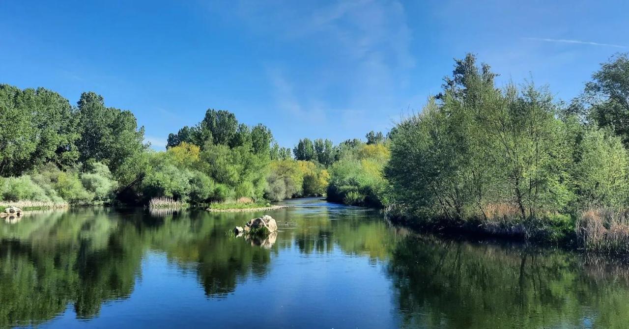 Miradoralaribera Chalet Rural Βίλα Alcoba de la Ribera Εξωτερικό φωτογραφία